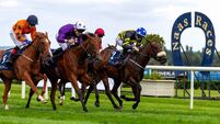 Naas Racecourse: Preview and Tips for Thursday’s Eight-Race Card