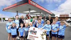 Eadestown GAA club receives Kildare County award under Texaco support for sport initiative