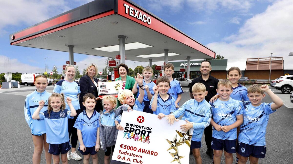 Eadestown GAA club receives Kildare Texaco award 