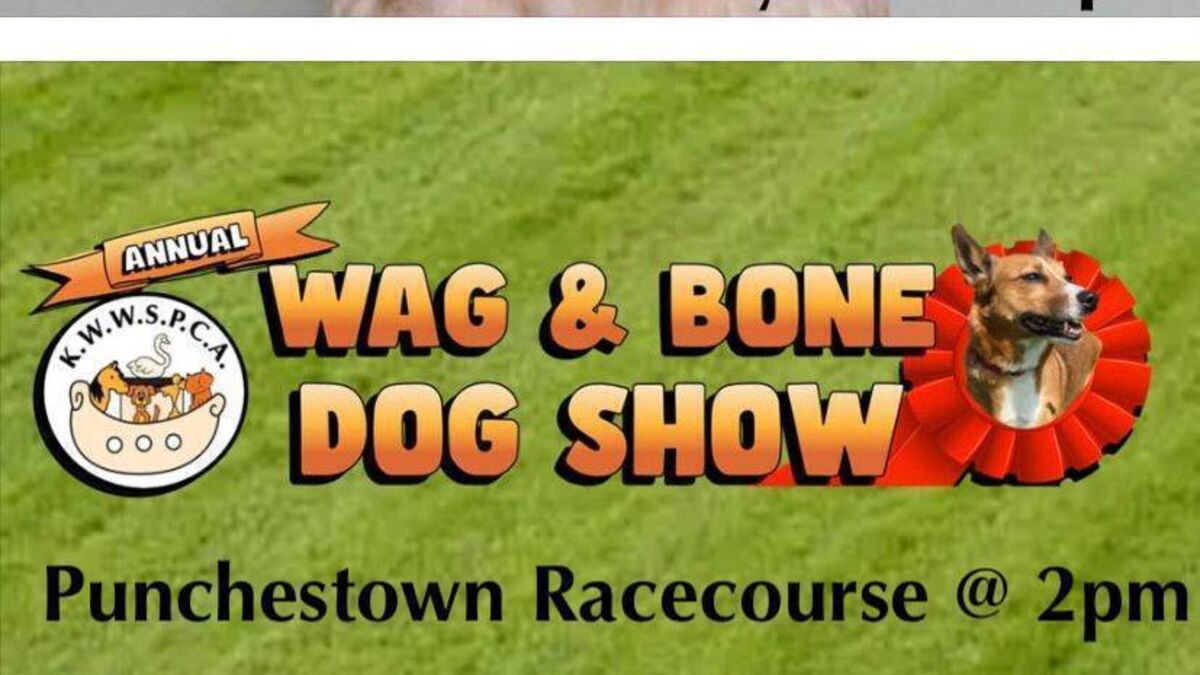 Rescheduled KWWSPCA dog show this weekend at Punchestown
