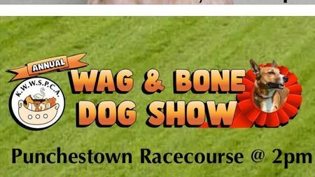 Rescheduled KWWSPCA dog show this weekend at Punchestown
