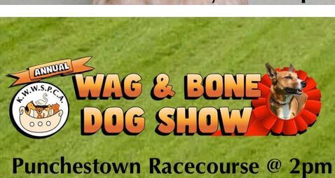 Rescheduled KWWSPCA dog show this weekend at Punchestown