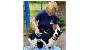 Kildare Rescue Tails: Charity couldn’t survive without our volunteers