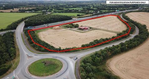Kildare land set for auction with €350,000 guide price