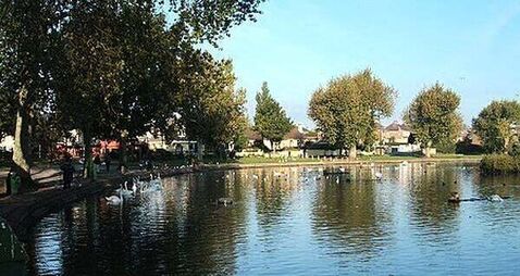 Bird flu outbreak at the Lough wildlife sanctuary in Cork