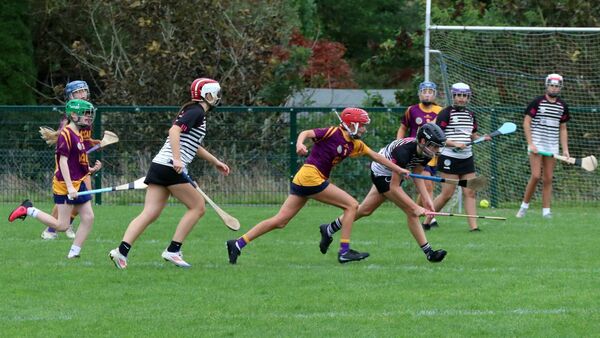 amogie players are getting their first use of one of the new training pitches