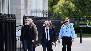 Maria Steen closer to making ballot after Independent Ireland back her campaign