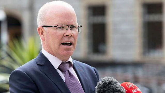 Áontu leader says there is a 'groundswell of support' for Maria Steen