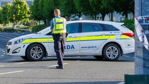 50-year-old ‘Juvenile’ gets driving ban at Kildare court