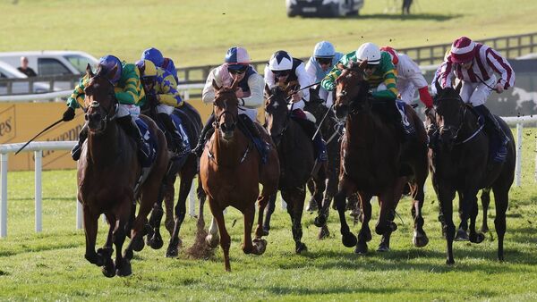 McCullagh bridges huge gap to land Irish Cesarewitch