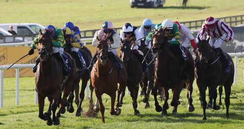 McCullagh bridges huge gap to land Irish Cesarewitch