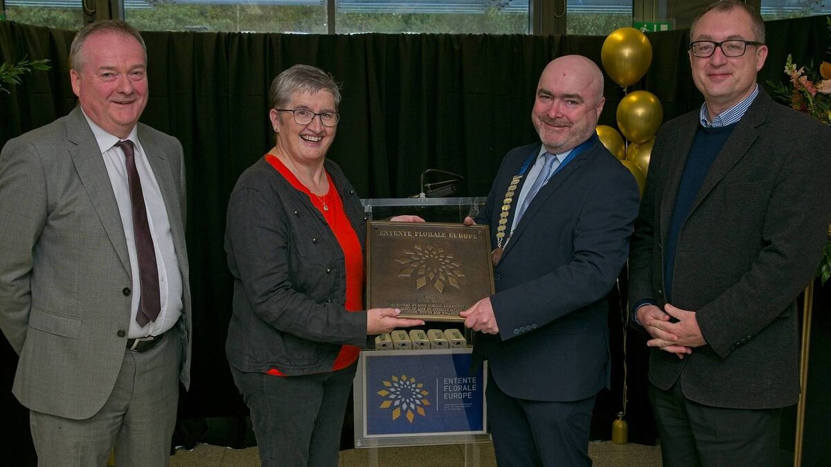 Kildare town awarded Entente Florale gold medal 