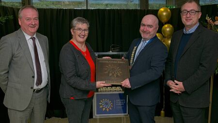 Kildare town awarded Entente Florale gold medal 