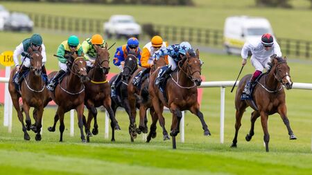 Irish EBF Auction Series Final returns to Naas Racecourse 