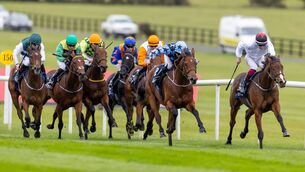 <p>Fiona McCoul winning the 2024 Irish EBF Auction Final at Naas Racecourse under Nathan Crosse for Jessica Harrington. Photo: Naas Racecourse</p>