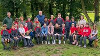 Discovery day at Kildare 'tiny forest'