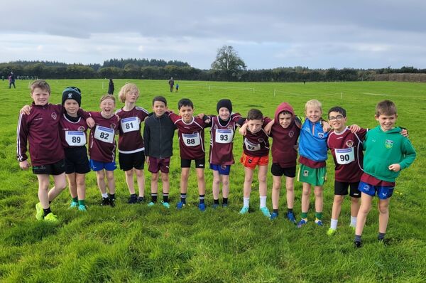 Crookstown Millview