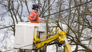 Kildare landowner claims ESB caused €64,000 in damages