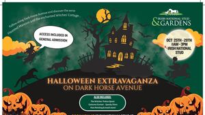 Halloween Extravaganza on Dark Horse Avenue: A Spooktacular Family Adventure at the Irish National Stud & Gardens Halloween Extravaganza on Dark Horse Avenue: A Spooktacular Family Adventure at the Irish National Stud & Gardens