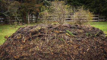 Living Greener: How to make good use garden scraps