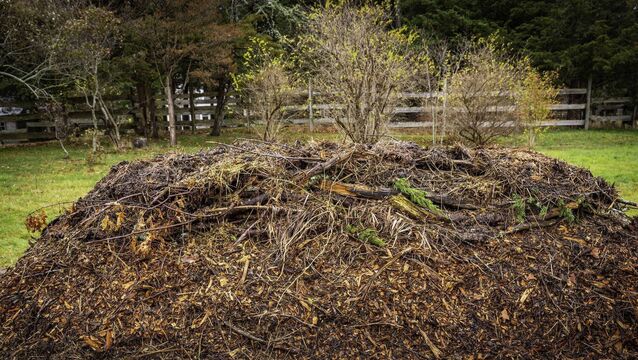 <p>Building a Hugelkultur raised bed as a method of sustainable zero waste farming </p>