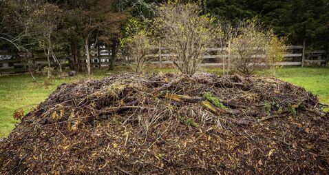 Living Greener: How to make good use garden scraps