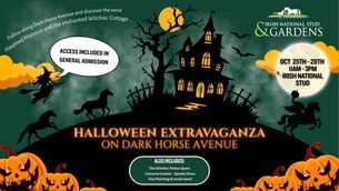 <p>Spooky Fun - Dark Horse Avenue </p>