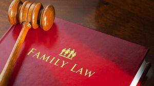 Judge channels King Solomon in child access case Judge channels King Solomon in child access case