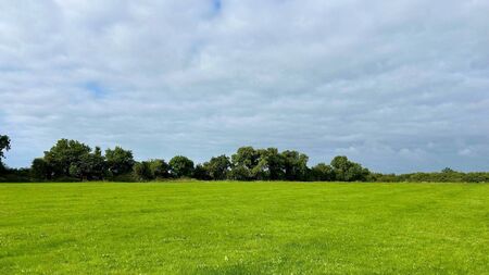 Kildare land sells at auction for €685,000