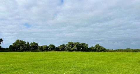 Kildare land sells at auction for €685,000