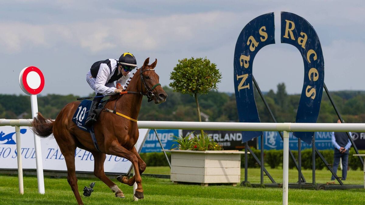 Naas Racecourse: Preview and Tips for Saturday’s Seven-Race Card