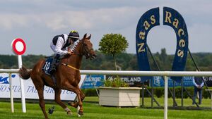 Naas Racecourse: Preview and Tips for Saturday’s Seven-Race Card Naas Racecourse: Preview and Tips for Saturday’s Seven-Race Card