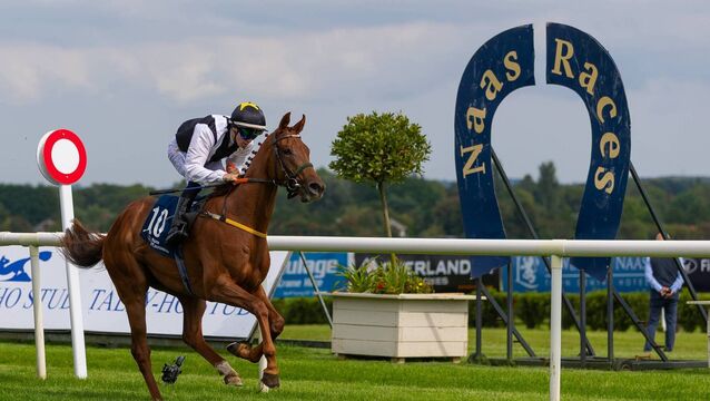 There are seven races on the first of day of the weekend finale of the flat season at Naas Racecourse Photo: ©INPHO/Tom O'Hanlon <p>There are seven races on the first of day of the weekend finale of the flat season at Naas Racecourse Photo: ©INPHO/Tom O'Hanlon</p>