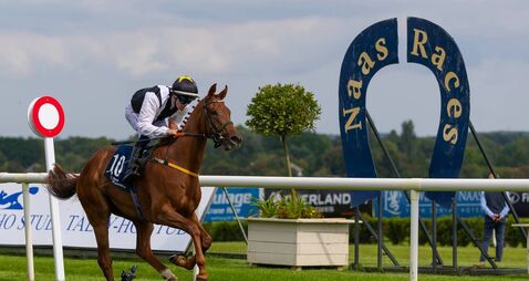 Naas Racecourse: Preview and Tips for Saturday’s Seven-Race Card 