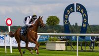 Naas Racecourse: Preview and Tips for Saturday’s Seven-Race Card 