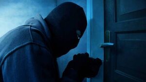 Investigation into burglary at Castledermot home