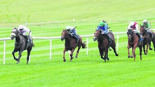 <p class="contextmenu internal_Caption">Killashee Warrior ridden by Jamie Powell winning The Irish EBF Auction Series Maiden at Thurles last Thursday</p>