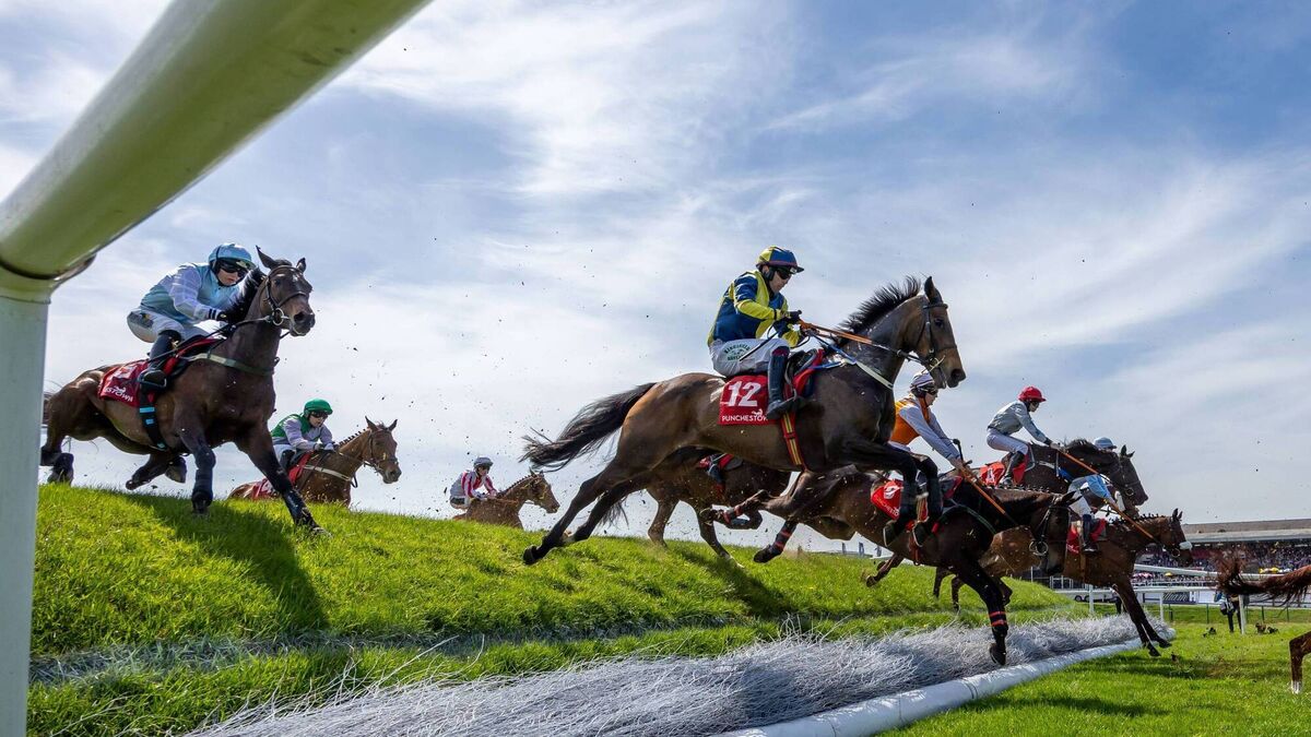 Punchestown Racecourse: Preview and Tips for Wednesday’s Seven-Race Card