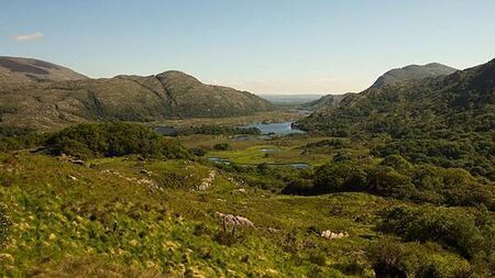 Over 30 cases of vandalism in national parks