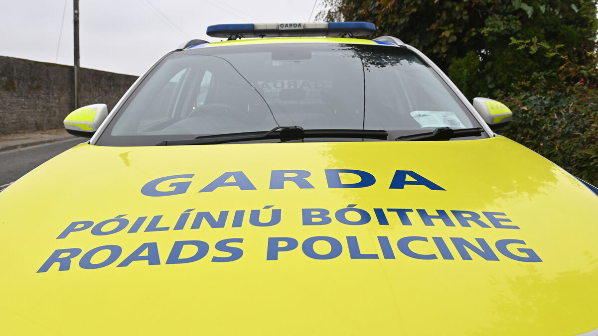 €150 fine issued to driver caught illegally parking in disabled bay in Naas 