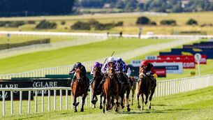 <p>There is racing at the Curragh today Photo: ©INPHO/Laszlo Geczo</p>