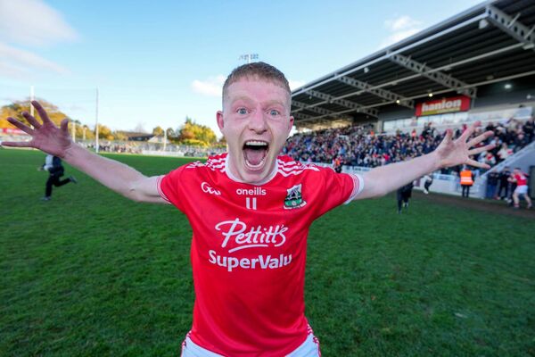 Barry Kelly was in inspirational form All Photos: ©INPHO/James Lawlor Barry Kelly was in inspirational form All Photos: ©INPHO/James Lawlor