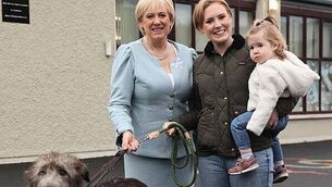 Taoiseach condemns Israeli attack on aid workers