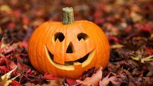 Kildare has a spooktacular line-up of events this Halloween