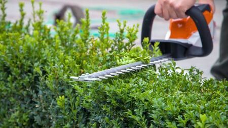 Kildare landowner fined €15k for hedgerow destruction out of season
