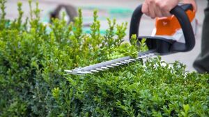 Kildare landowner fined €15k for hedgerow destruction out of season Kildare landowner fined €15k for hedgerow destruction out of season