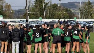 <p>Balyna celebrate after booking their place in a Leinster final</p>