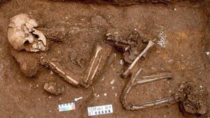 <p>One of the skeletons found during a recent excavation in Naas</p> <p>One of the skeletons found during a recent excavation in Naas</p>