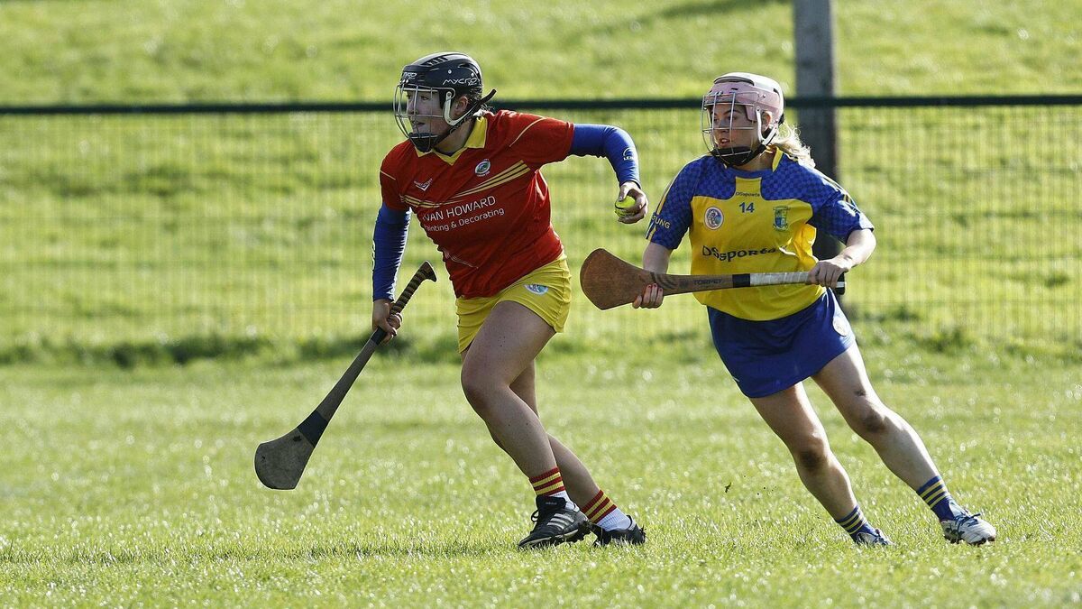 Battling Larries come up short in Abbeyleix