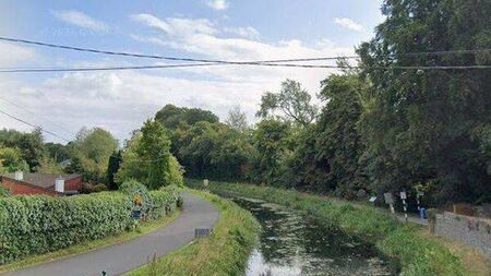 Plans for Naas lands 'premature' say council